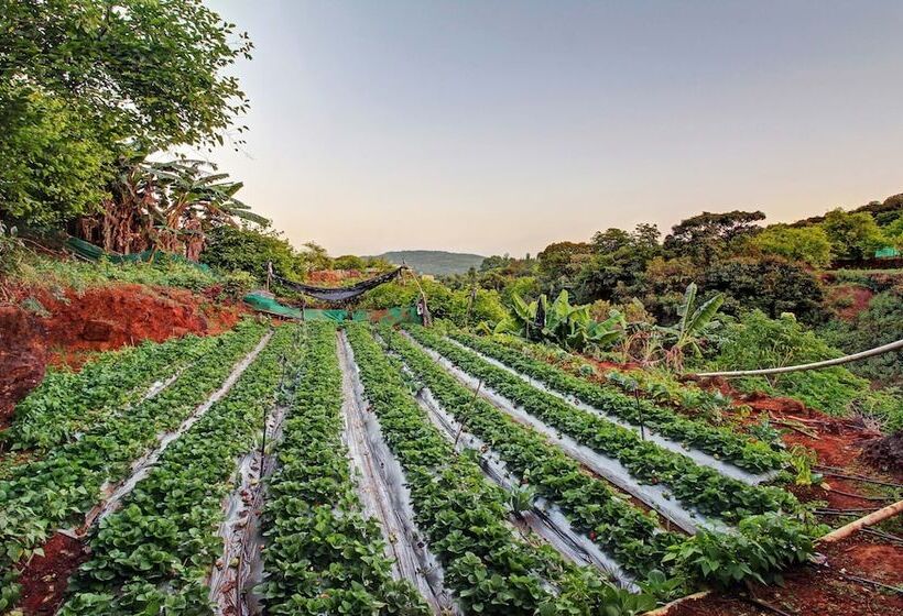 酒店 Treebo La Paradise