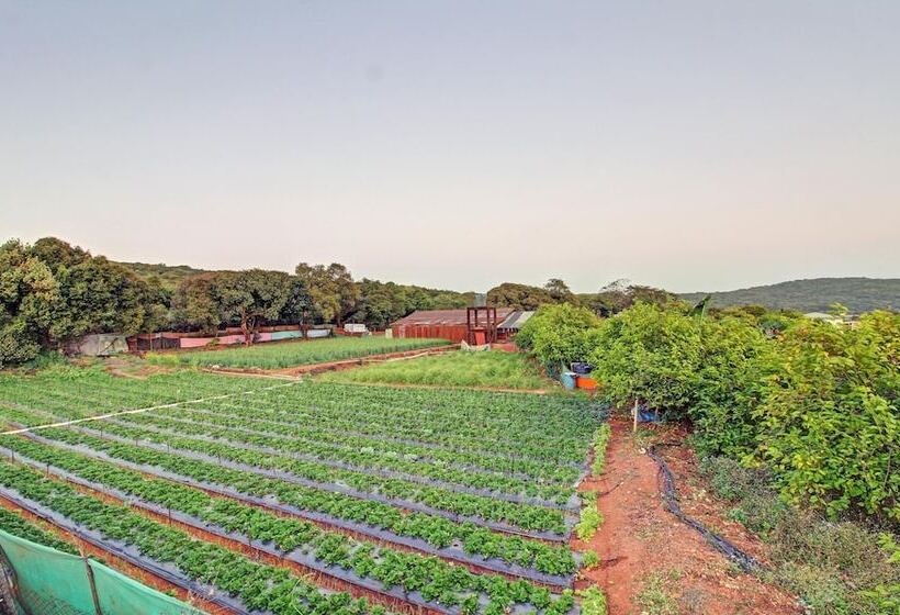 酒店 Treebo La Paradise