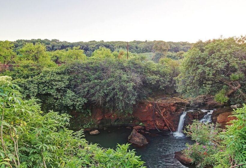 酒店 Treebo La Paradise