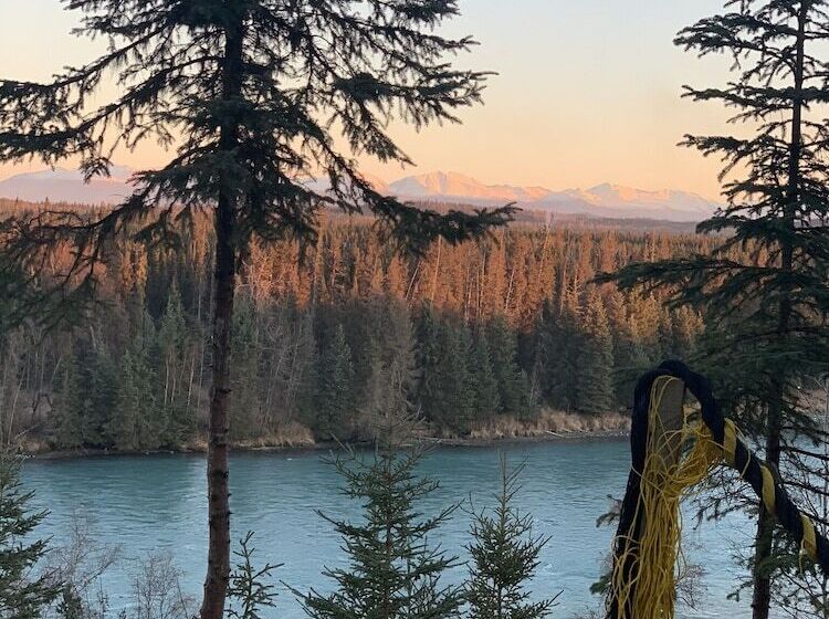 Joy S Kenai River Cabins