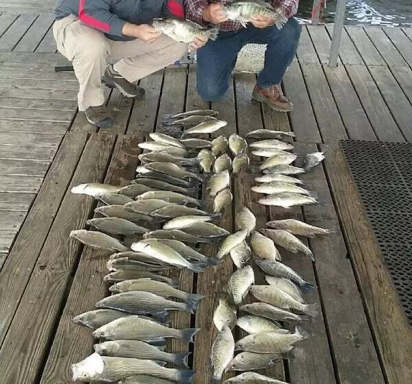 Motelli Beyonder Marine At Sterett Creek