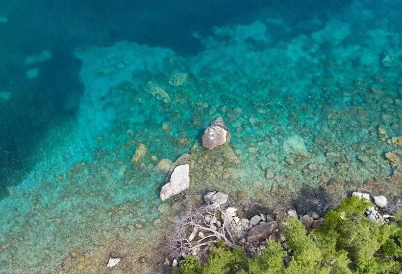 پانسیون Bois Joli