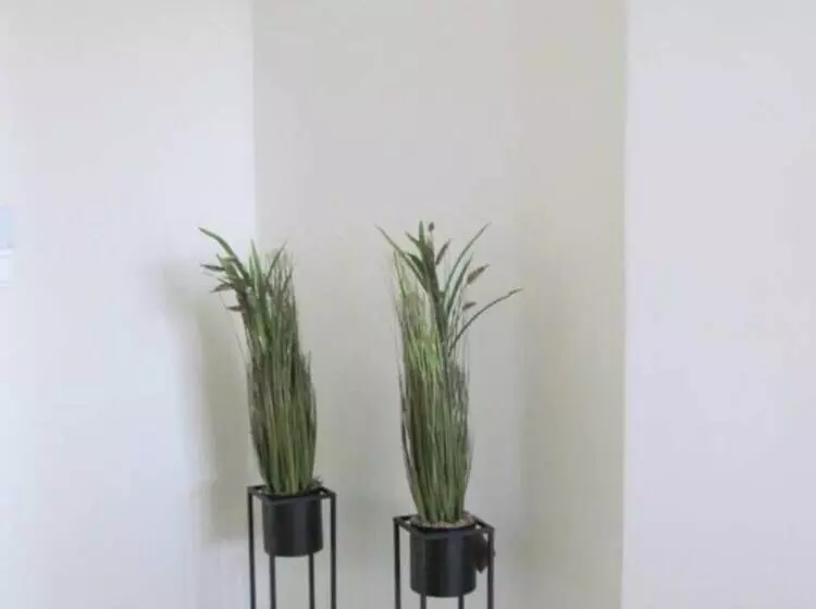 レジデンス Beautiful 3 Bed House In Chania With Garden