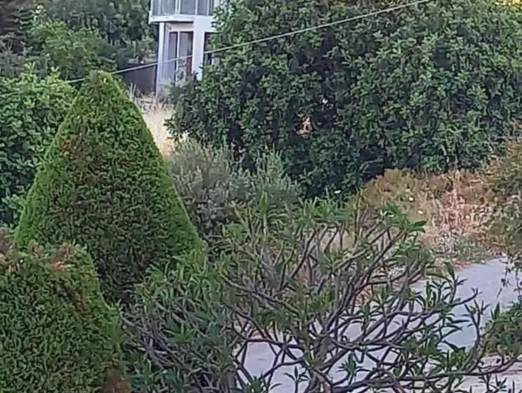 レジデンス Beautiful 3 Bed House In Chania With Garden