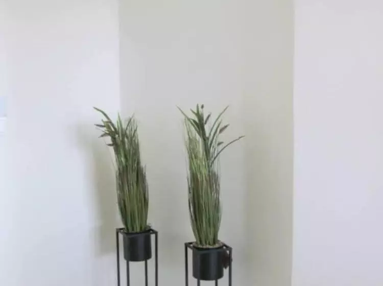 レジデンス Beautiful 3 Bed House In Chania With Garden