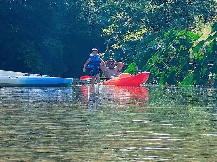 14 Son S Rio Cibolo   Birdhouse Cabin