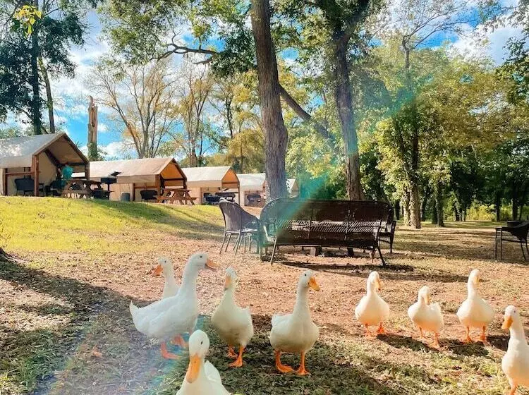 15 Blue River Camp   Glamping Cabin