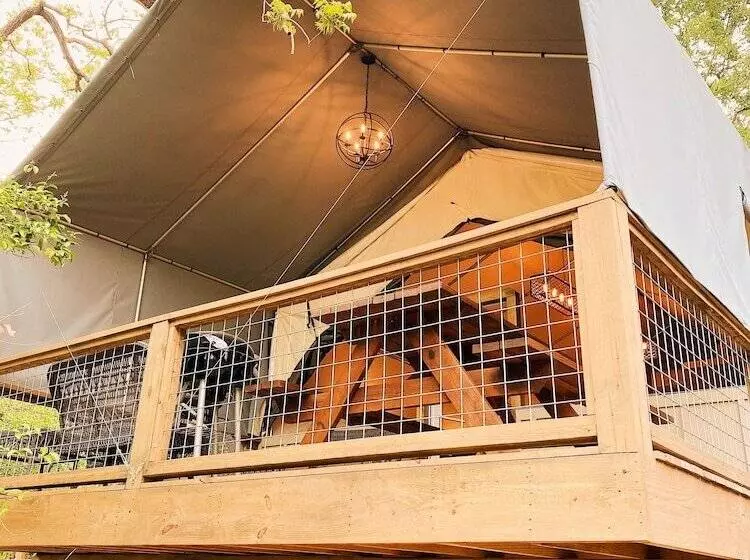 24 Son S Rio Cibolo   Birdhouse Cabin