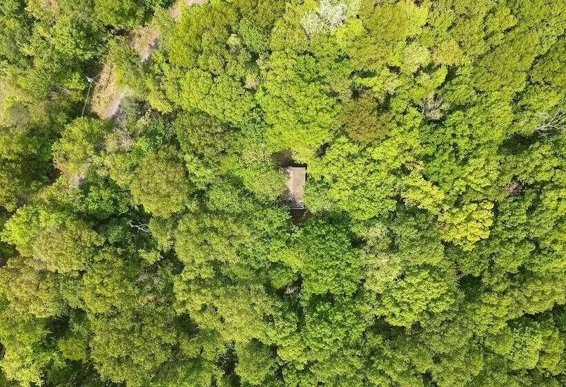 A Humble Abode   A Modern Woodsy Retreat