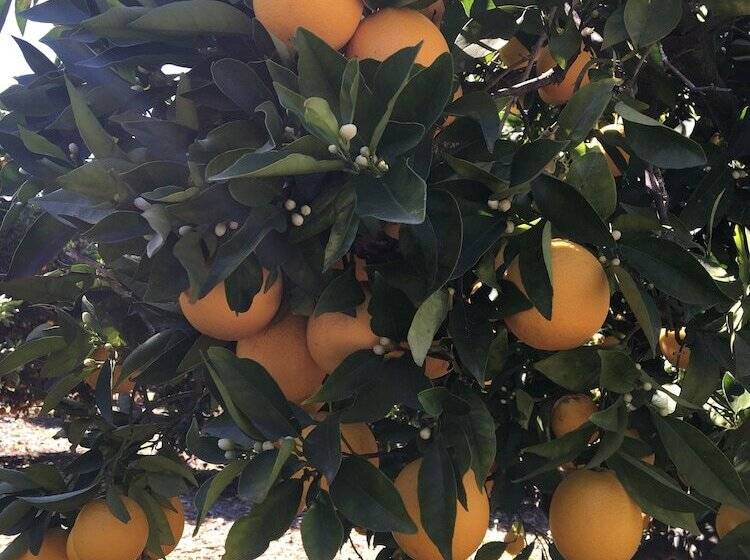 ベッドアンドブレックファースト Twboord