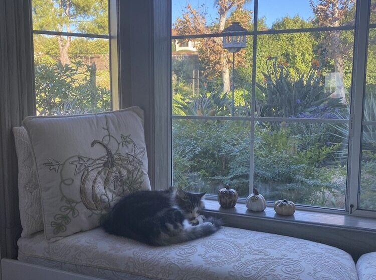 ベッドアンドブレックファースト Twboord