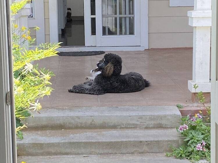 ベッドアンドブレックファースト Twboord