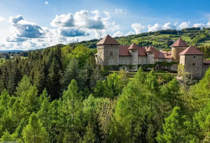 Hotelli Château De Thorens