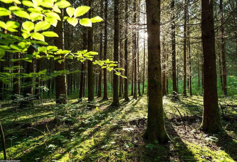 فندق Château De Thorens