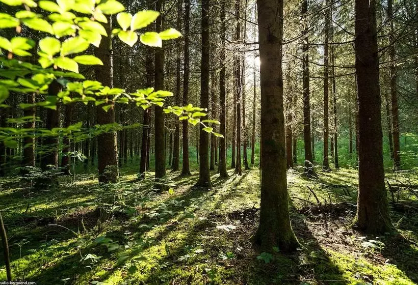 Hotelli Château De Thorens