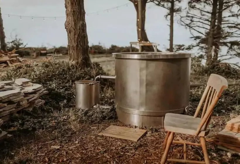 Hotelli Treehouse Over The Water   Eagle S Nest