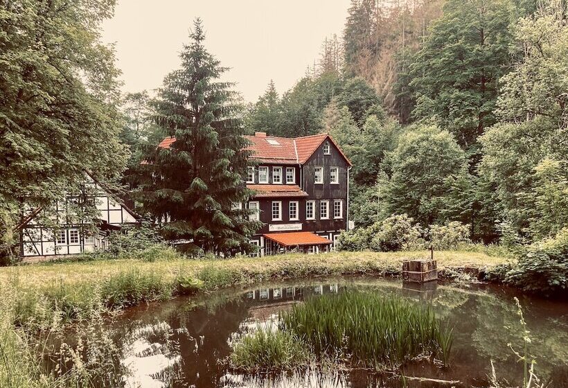 בית מלון כפרי Waldhaus Wolfsbachmühle
