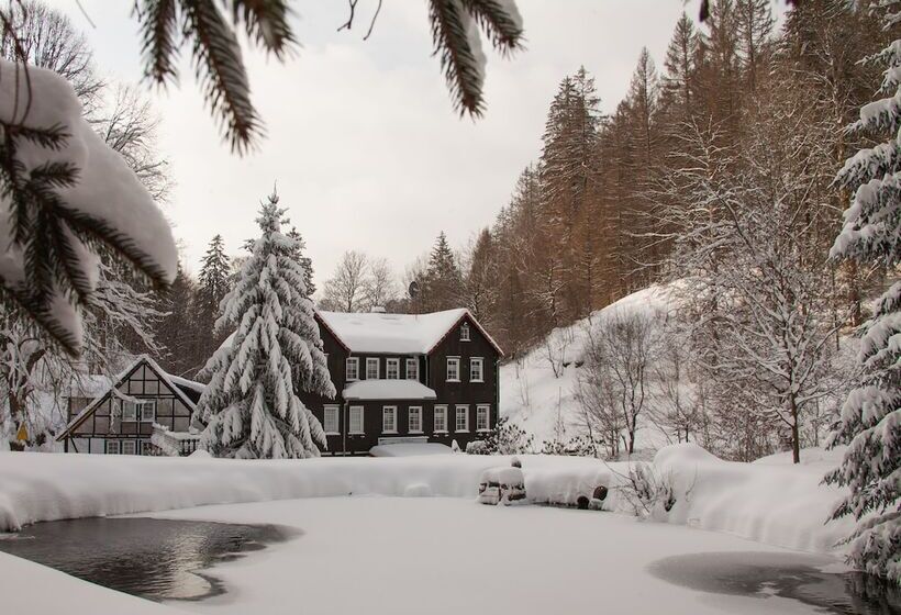 בית מלון כפרי Waldhaus Wolfsbachmühle