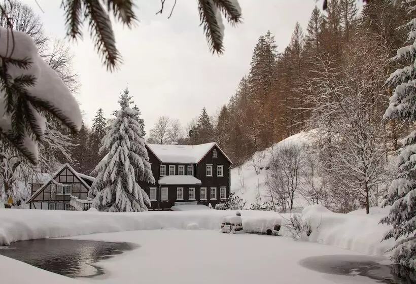 Hotelli Waldhaus Wolfsbachmühle