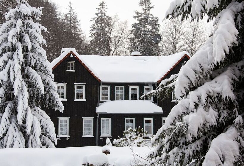 בית מלון כפרי Waldhaus Wolfsbachmühle