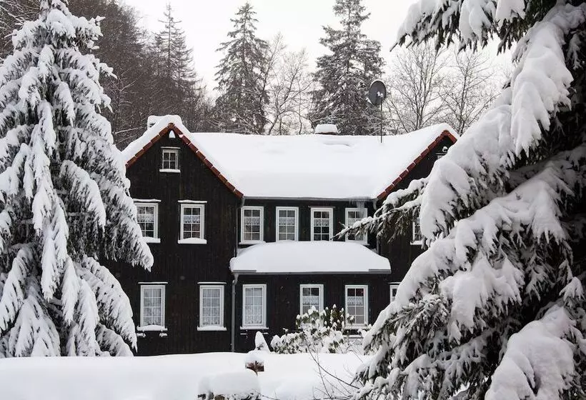 Hotelli Waldhaus Wolfsbachmühle