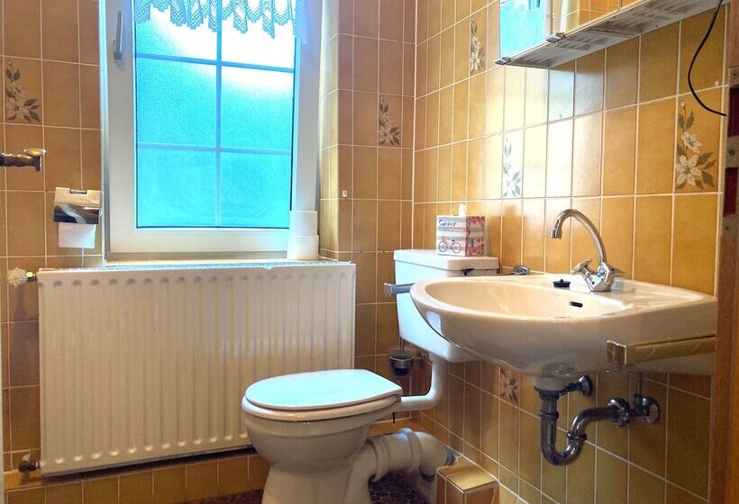 בית מלון כפרי Waldhaus Wolfsbachmühle