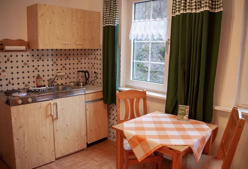 בית מלון כפרי Waldhaus Wolfsbachmühle