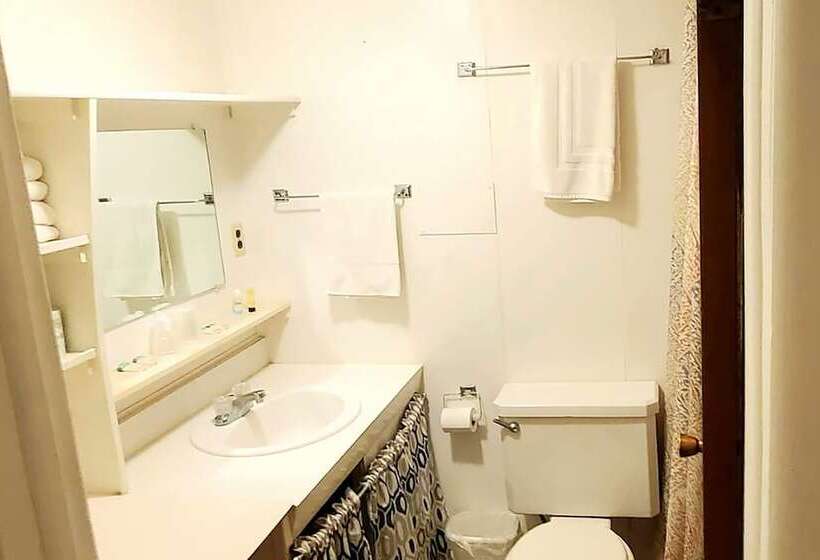 モーテル Snowy Mountain Inn