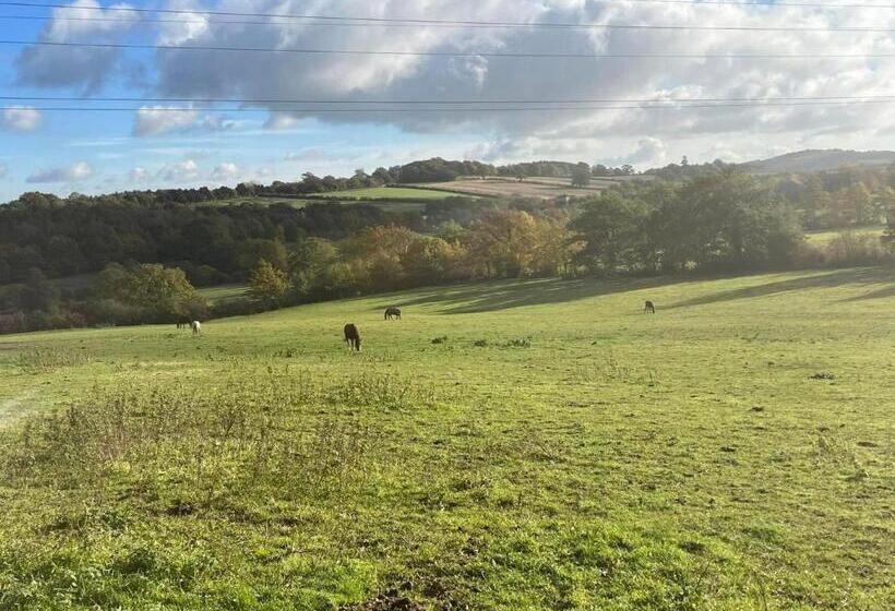בית מלון כפרי The Farm Barn