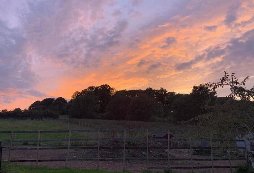 בית מלון כפרי The Farm Barn