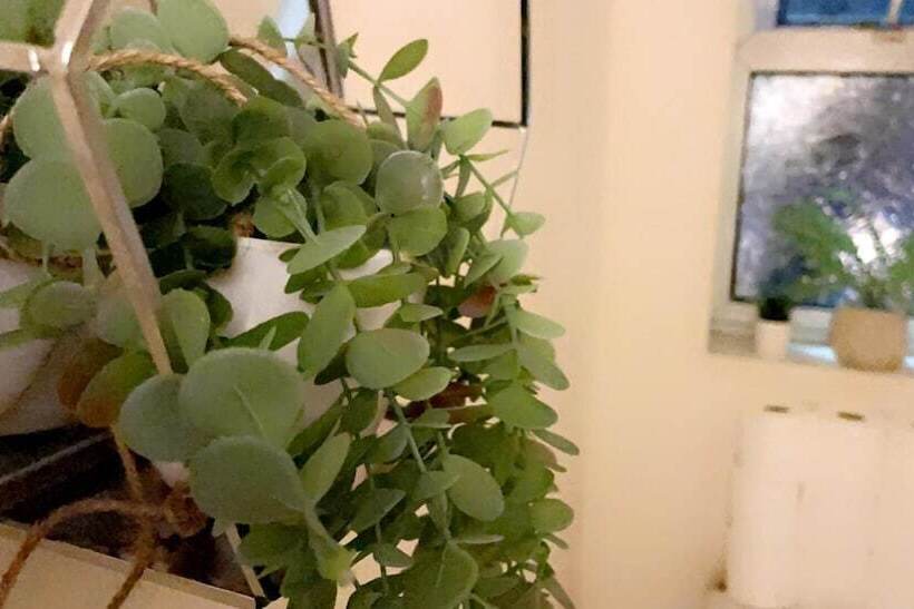 Residenza Impeccable 1 Bed House In Pontefract