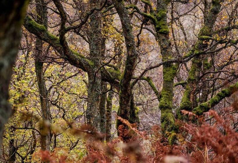 レジデンス Stunning 8 Beds Country Retreat Nr Richmond