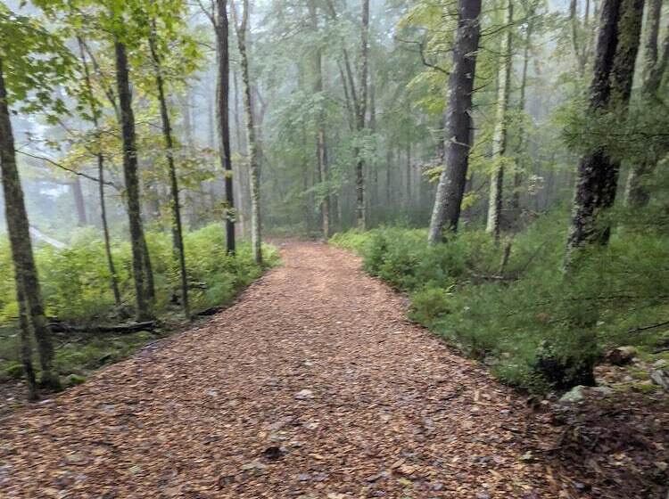 리조트 The Bradstan Boutique