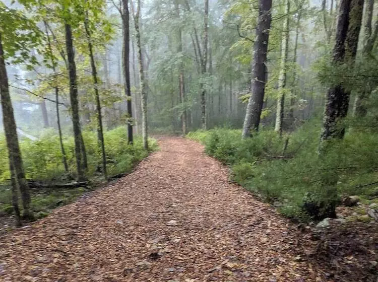 Lomakeskus The Bradstan Boutique