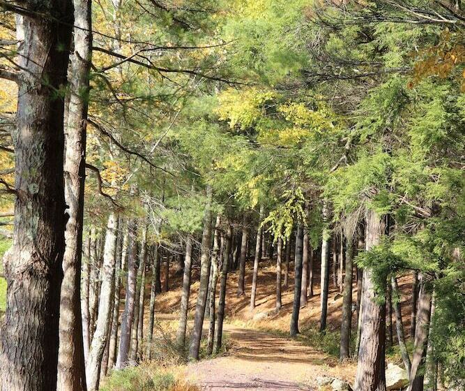 אתר נופש The Bradstan Boutique