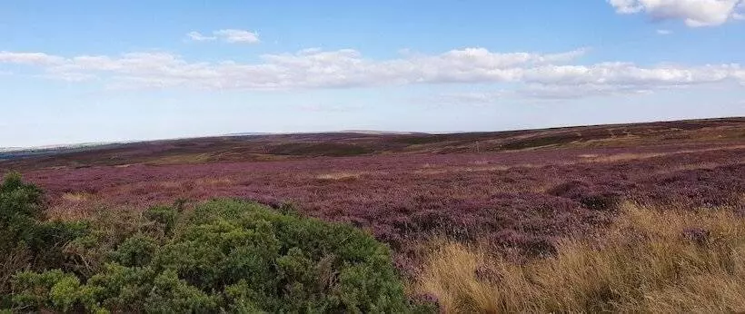 6m Xl Bell Tent With Log Burner, Near Whitby