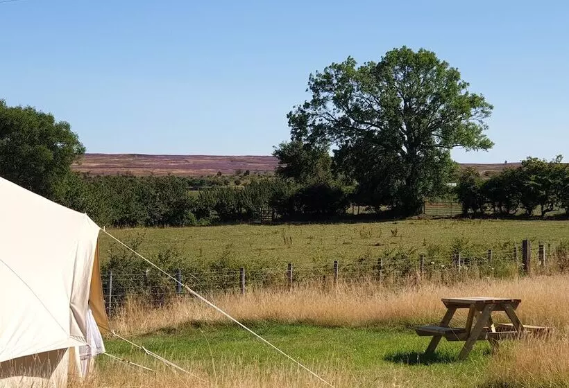 6m Xl Bell Tent With Log Burner, Near Whitby