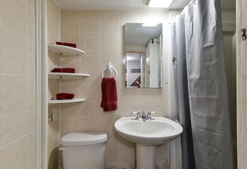 Downtown House  In Historic Branson   Awesome Location!! Discounted Rates!!