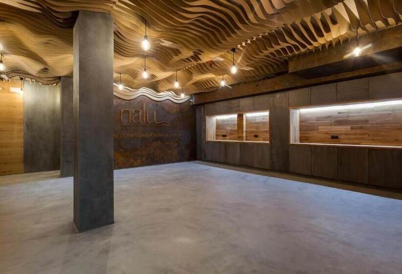 فندق فئة نجمة واحدة Nalu Valencia Boutique Rooms