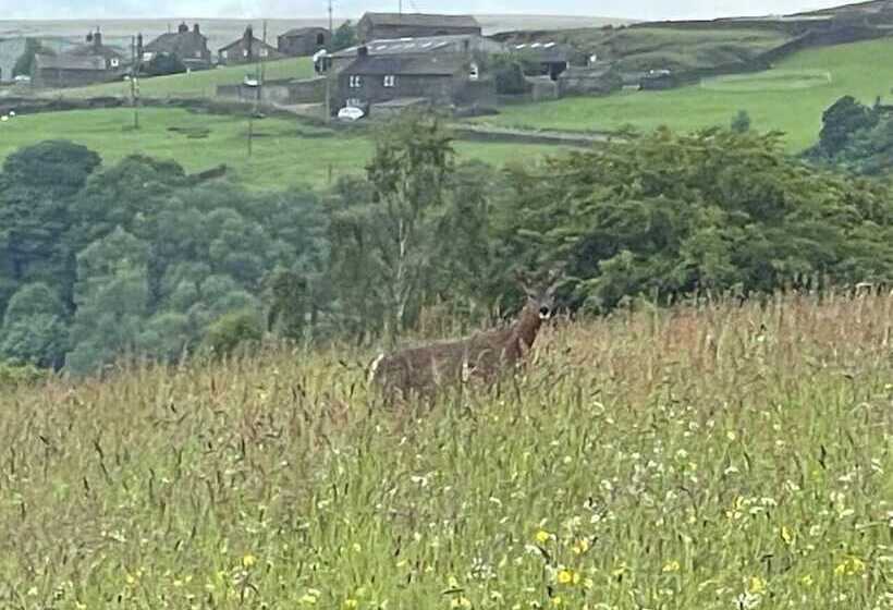 Отель Inviting 4 Berth Caravan In Hebden Bridge