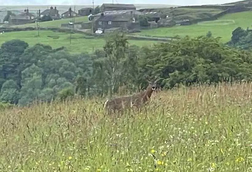 Hotelli Inviting 4 Berth Caravan In Hebden Bridge