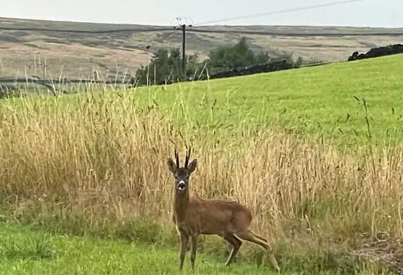 Hotelli Inviting 4 Berth Caravan In Hebden Bridge