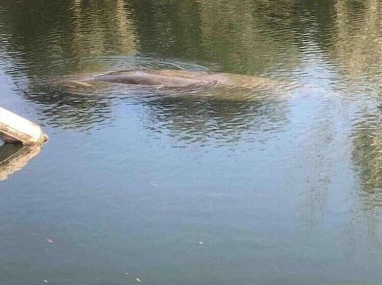 בית מלון כפרי Neptune S Grotto Waterfront Retreat