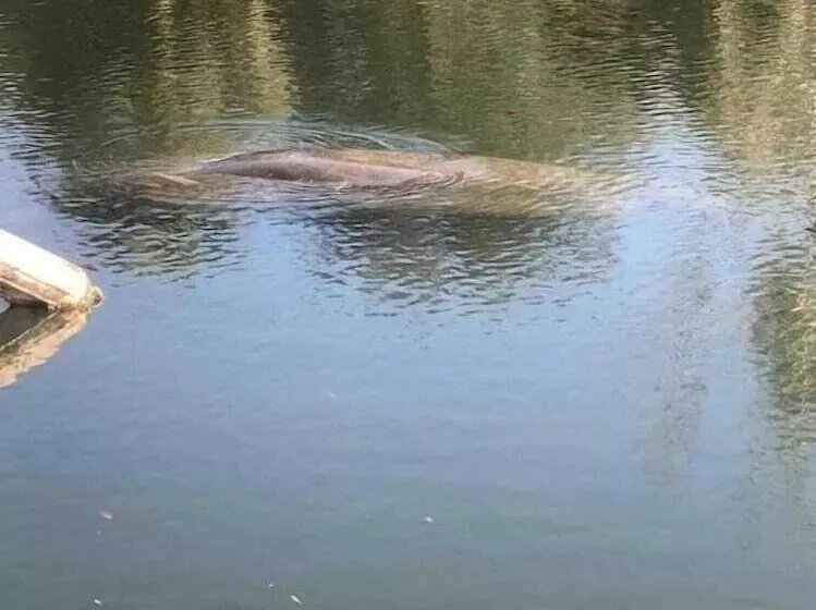 Hotelli Neptune S Grotto Waterfront Retreat