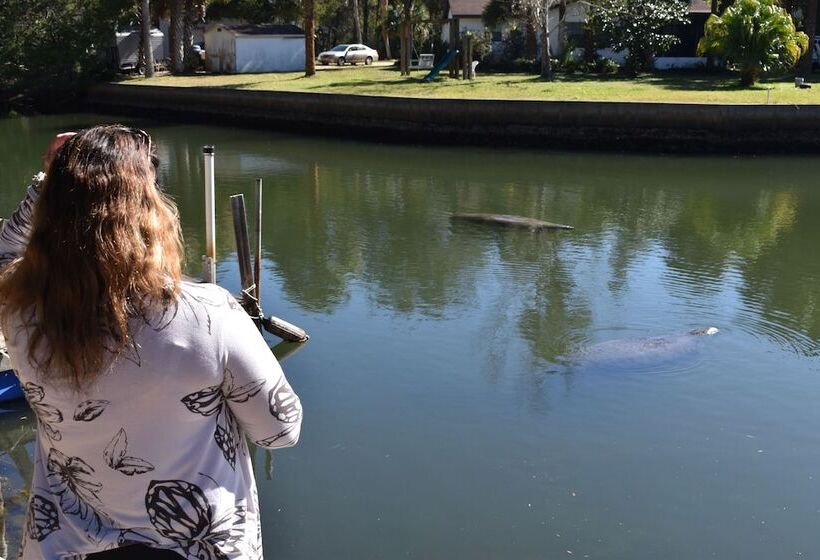 בית מלון כפרי Neptune S Grotto Waterfront Retreat