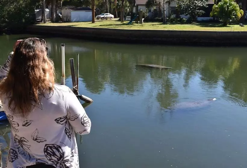 Hotelli Neptune S Grotto Waterfront Retreat