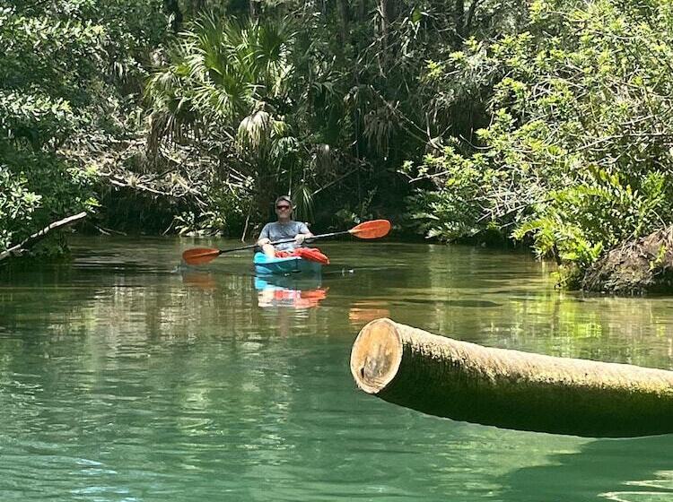 בית מלון כפרי Neptune S Grotto Waterfront Retreat