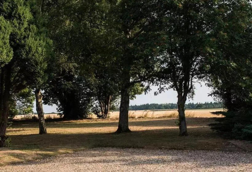 ペンション The Foxes Den