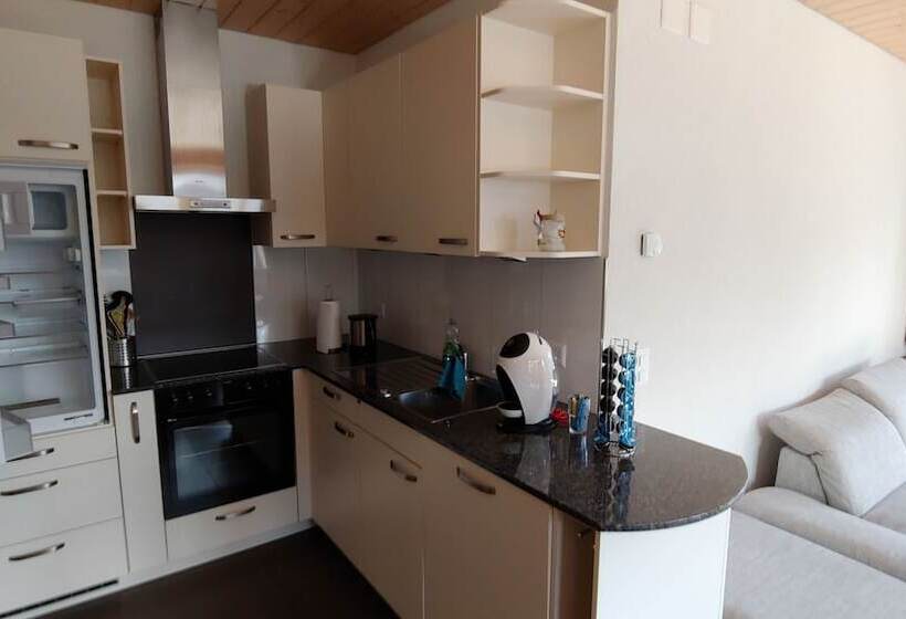 膳宿费 Ufemegg Ferienwohnungen