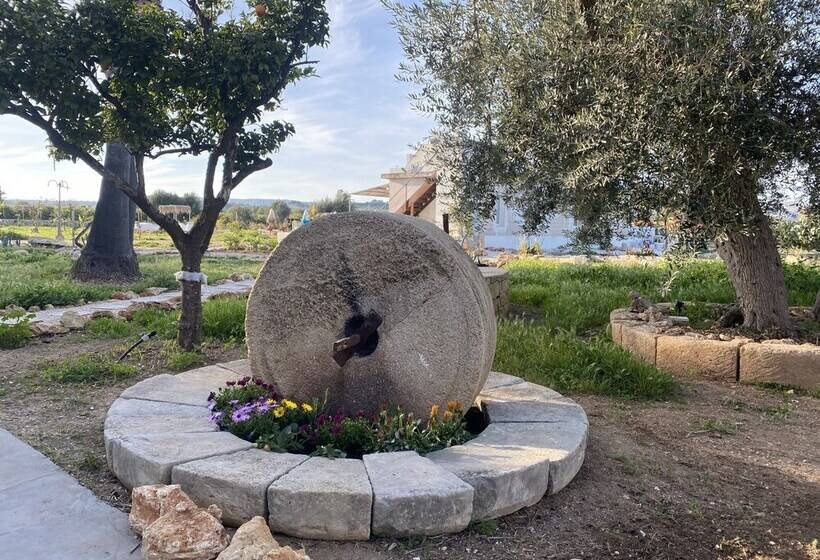 住宿加早餐  Casapiuholidaysicilia   Adults Only